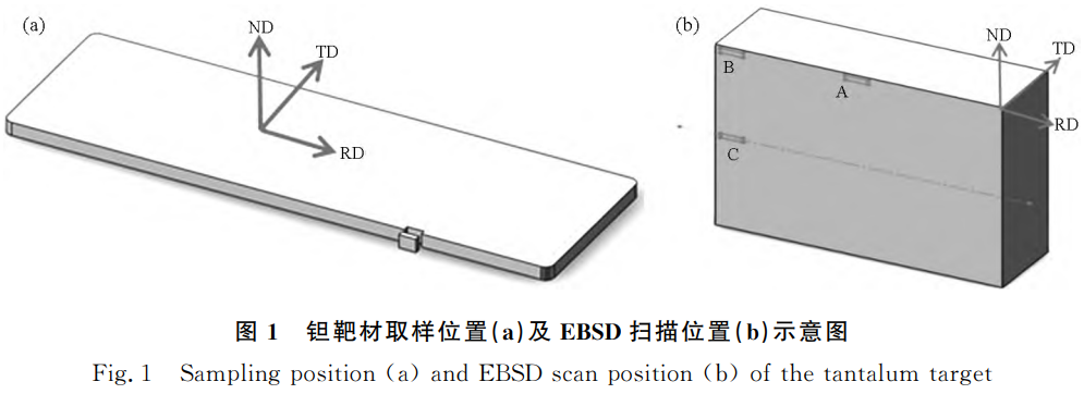1743988955705951.png 截图20250407091823.png