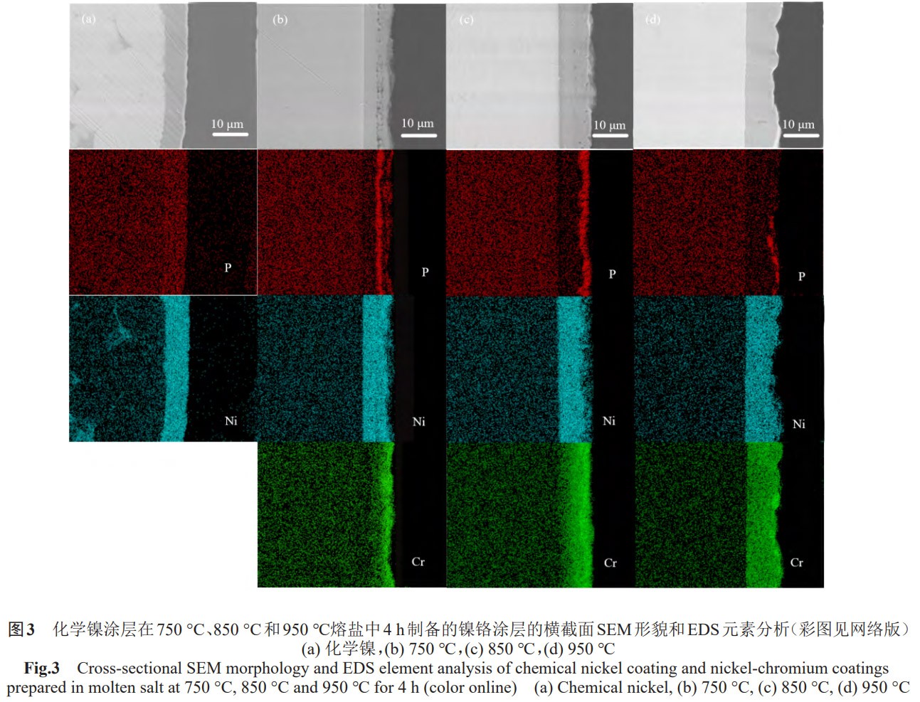 1773576458405892.jpg 3.jpg