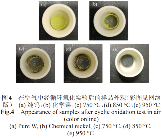 1773576467204642.png 4.png