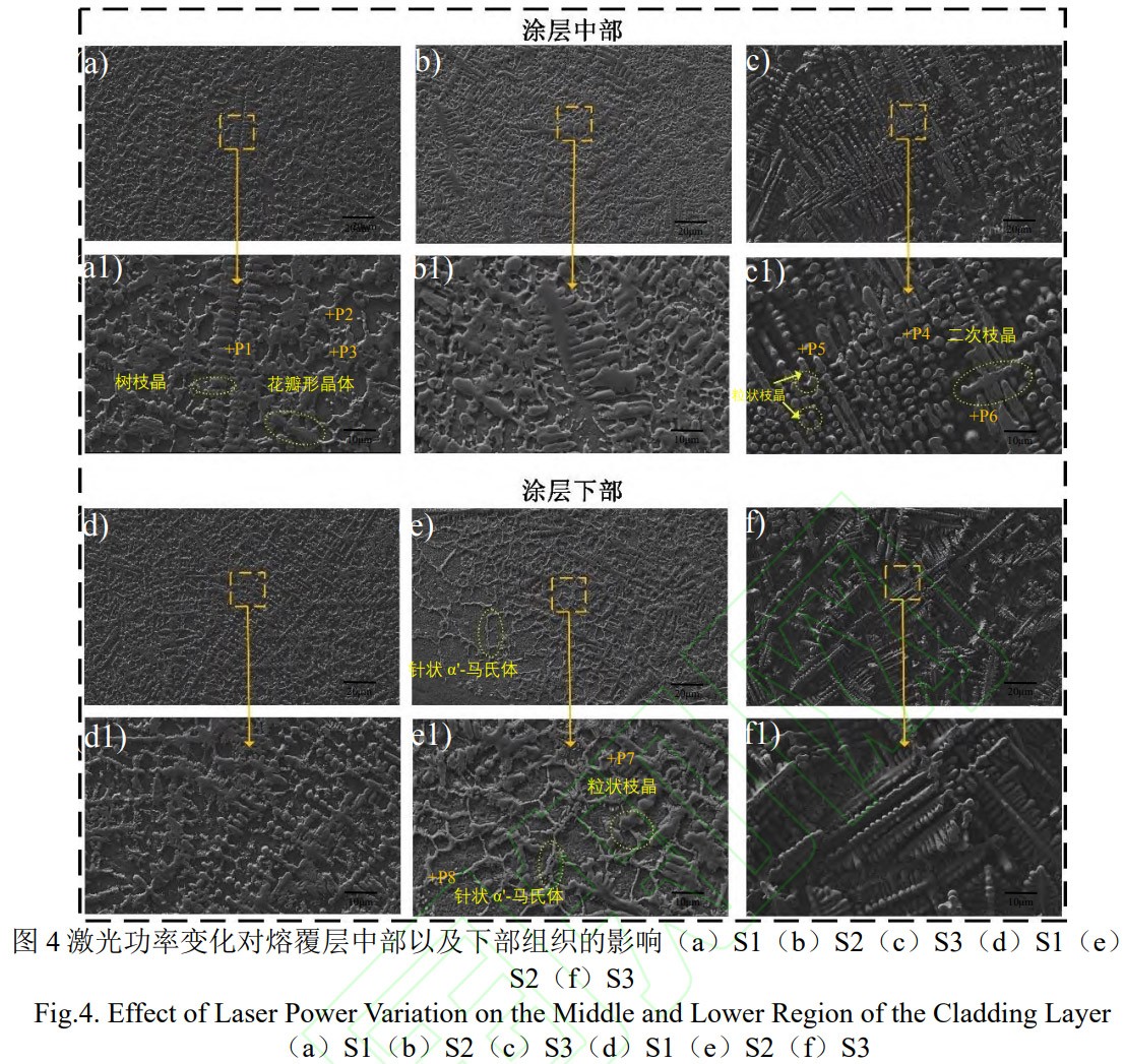 1773624749620914.jpg 4.jpg