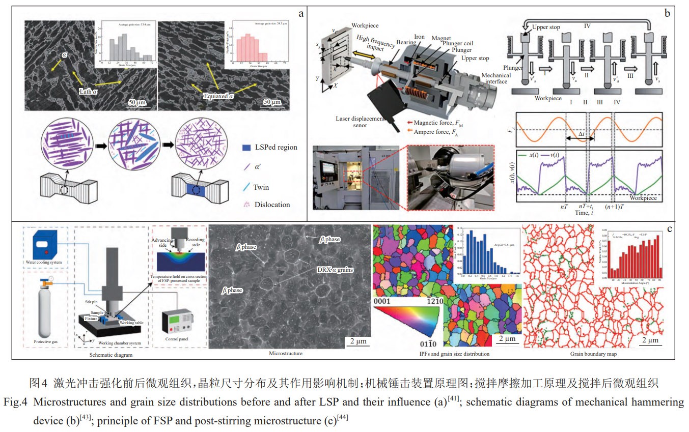 1774919597684787.jpg 4.jpg