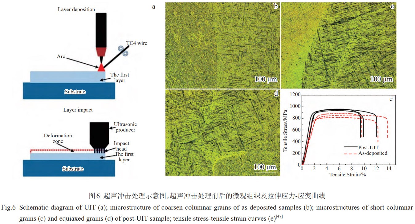 1774919615762254.jpg 6.jpg