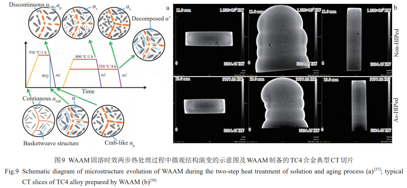 1774919643558624.jpg 9.jpg