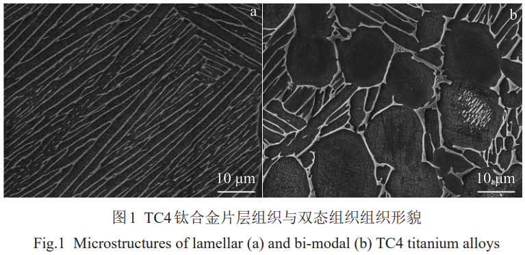 1774945931723798.png 1.png