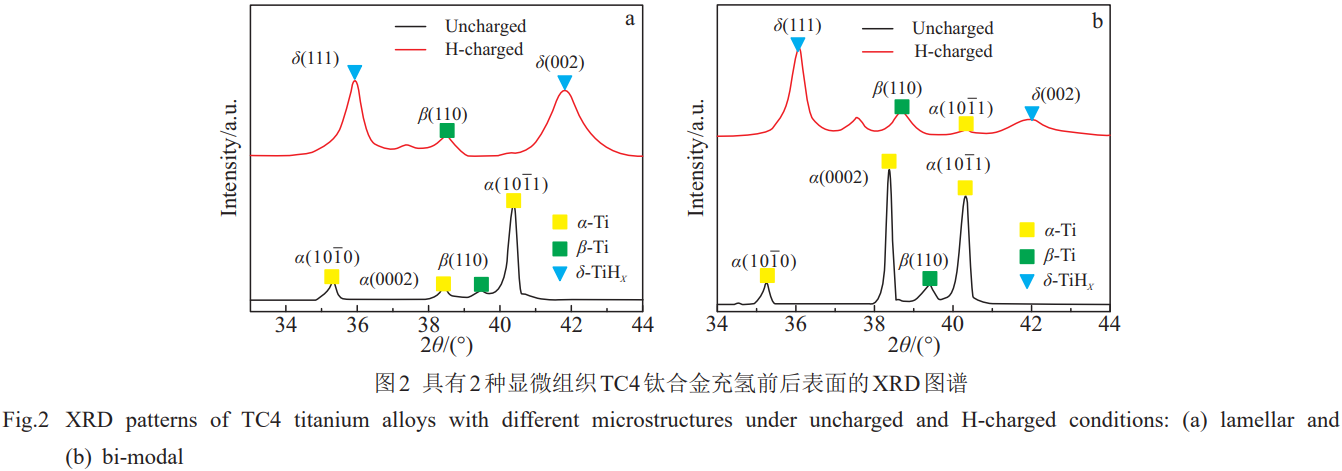 1774945943111070.png 2.png