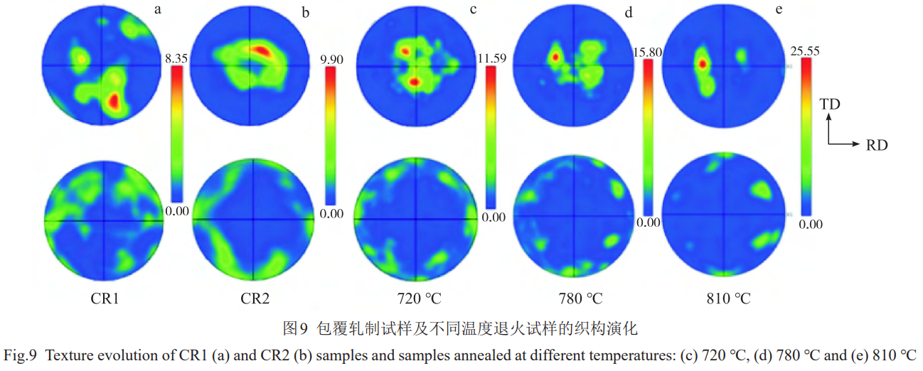 1774954165617808.png 9.png